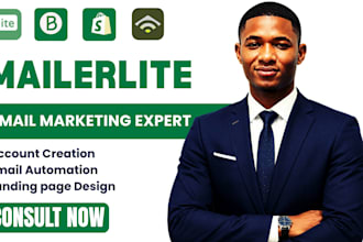 setup klaviyo brevo mailerlite landing page, mailerlite newsletter automation