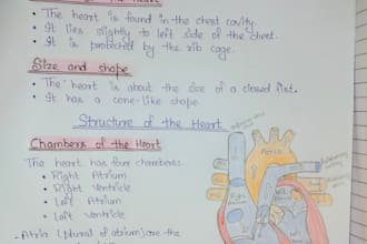 write handwritten assignments, notes and digram