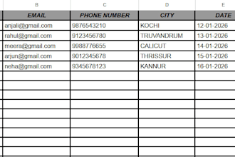 do data formatting and excel or google sheets work accurately