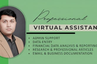 do data analysis, documentation and administrative support