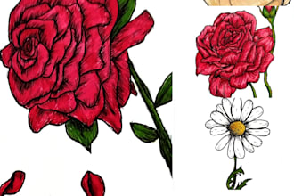 draw detailed floral sketches and botanical illustrations