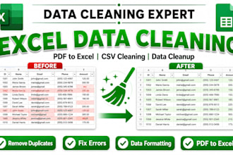 excel data cleaning, data cleanup and convert PDF to excel