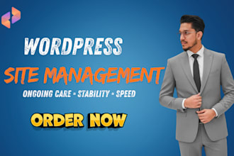 provide wordpress maintenance, support and monthly website management
