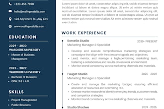 write professional CV resumes and business documents