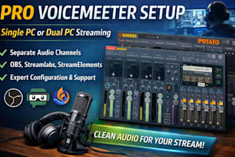 set up voice meter banana or potato for single or dual PC streaming