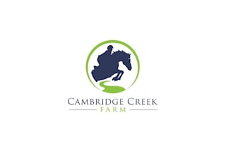 design a modern minimalist horse racing logo design