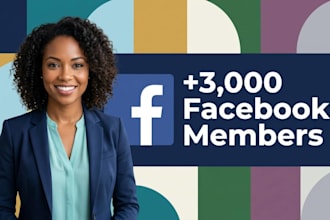 add new 3,000 facebook members