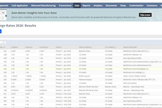customize, automate, and support your netsuite erp