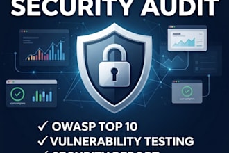 perform a professional website security audit and vulnerability scan