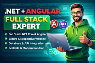 develop a professional full stack dotnet and angular website
