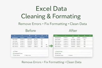 excel data cleaning and formatting service