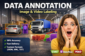 do professional data annotation and image labeling