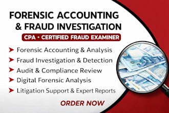 perform forensic accounting, fraud investigation, audit, digital forensic as CPA