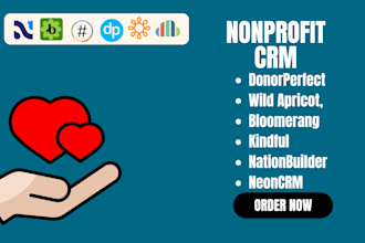 nonprofit CRM bloomerang neoncrm wild apricot donorperfect kindful nationbuilder