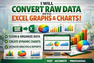 convert raw data into clear excel graphs and professional charts