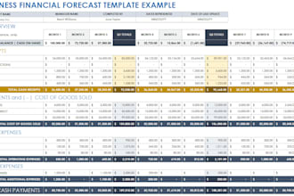 prepare professional financial projections and forecasts