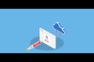 brute force cyber attack malware removal information security ddos attack