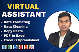 do excel data entry, data cleaning, formatting and CSV data