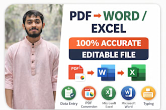 do PDF to word, excel typing and formatting