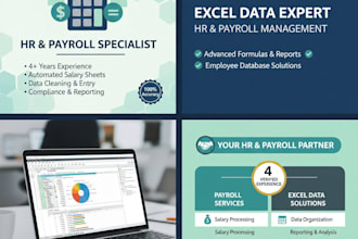 manage your HR payroll and provide advanced excel data