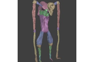 create a monster 3d model in blender