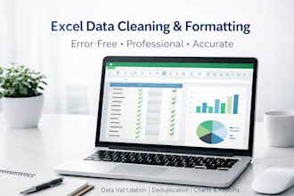 do data entry work, data cleaning, convert to PDF in excel