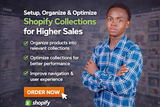 create, setup, organize, and optimize shopify collections for higher sales