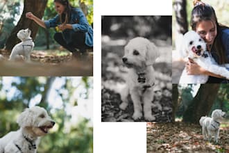be your pet and family photographer in athens, greece