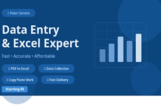 do any data entry work accurately
