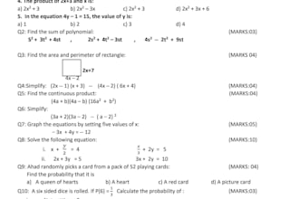 format question papers and worksheet in ms word