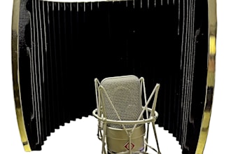 record professional swedish voice over for your project