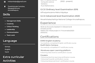 do professional resume writing for employees or beginners