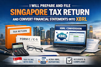 prepare and file singapore tax return and convert financial statements into xbrl