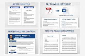 do PDF to word conversion and professional document formatting