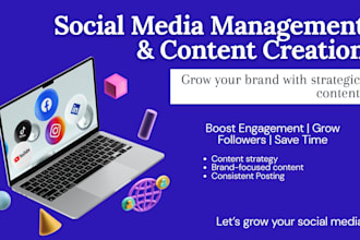 be your social media strategist and content manager