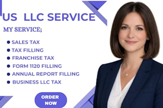 do filing of delaware franchise tax annual report and  consulting