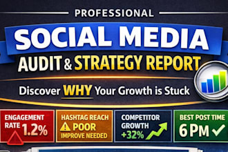 do detailed social media audit, social media analysis and growth strategy report