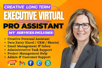 be your executive virtual personal assistant data entry administrative task