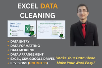 do data cleaning, data formatting and data entry