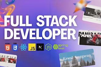 build custom website development as full stack web developer