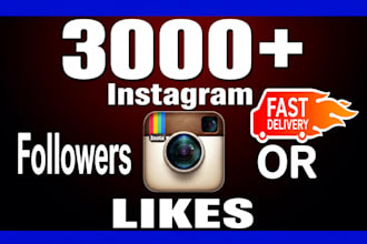 get 3000 organic instagram followers