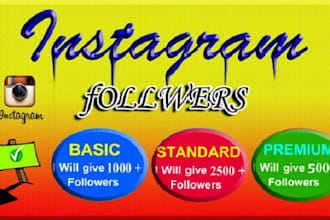 get 1000 organic instagram followers