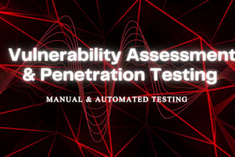 perform vulnerability assessment and provide a vapt report