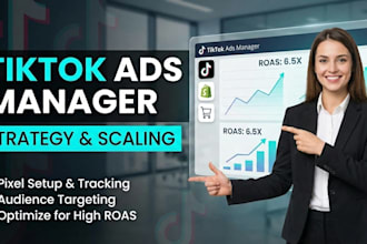 be your tiktok ads manager and run tiktok ads for leads