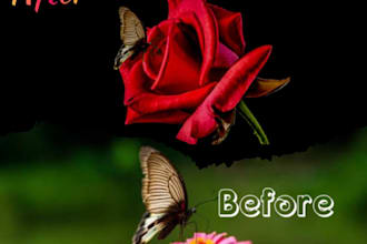 do professional photo editing and retouching