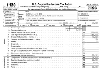 prepare and efile US tax returns form 1040, 1120, 1065