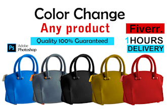 do professional dress color change, bag  shoes clothes and product color change