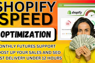 do shopify speed optimization and improve shopify store page speed