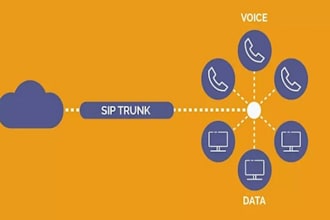 sip trunk did number 3cx auto dialer voip