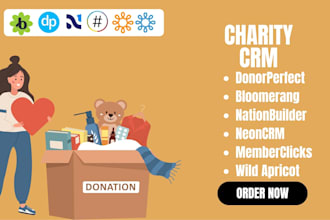 charity CRM donorperfect neon wild apricot nationbuilder memberclicks bloomerang